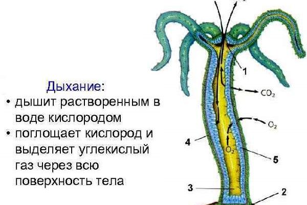 Ссылки на кракен com