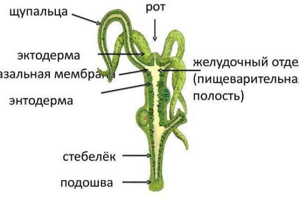 Как купить наркотик в кракен